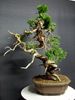 sabina_2_02_p