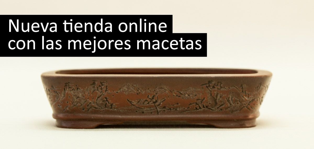portada_tienda_online_1